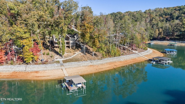 bird's eye view with a view of trees and a water view