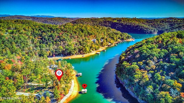 drone / aerial view with a view of trees and a water and mountain view