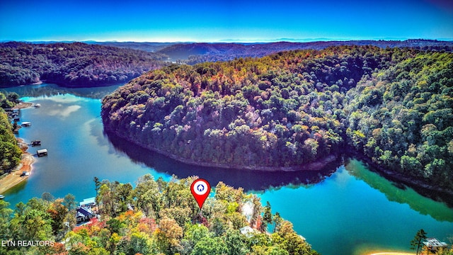 drone / aerial view featuring a forest view and a water and mountain view
