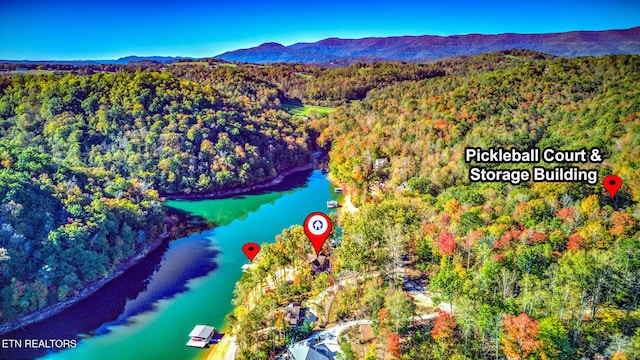birds eye view of property featuring a water and mountain view and a forest view