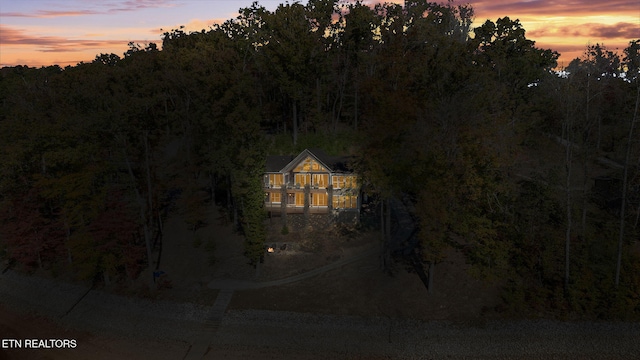 bird's eye view with a forest view