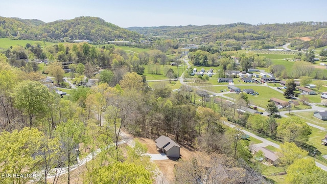 131 Lynn Dr, Maynardville, TN 37807 - photo 8