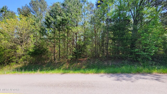 120 Point Oak Dr, Parrottsville, TN 37843