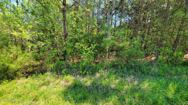 120 Point Oak Dr, Parrottsville, TN 37843