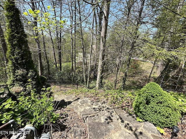 1713 Cardinal Dr, Gatlinburg, TN 37738 - view of local wilderness