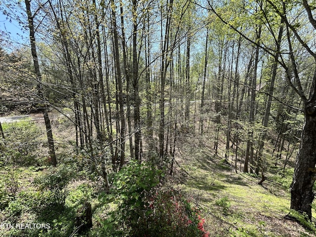 1713 Cardinal Dr, Gatlinburg, TN 37738 - view of landscape featuring a wooded view