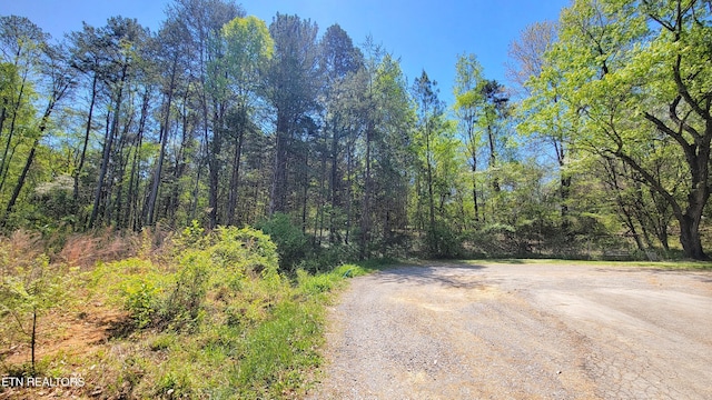 144 Wale Dr, Parrottsville, TN 37843