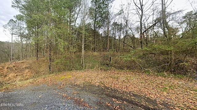 144 Wale Dr, Parrottsville, TN 37843