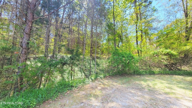 144 Wale Dr, Parrottsville, TN 37843