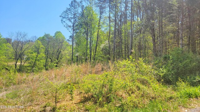 144 Wale Dr, Parrottsville, TN 37843