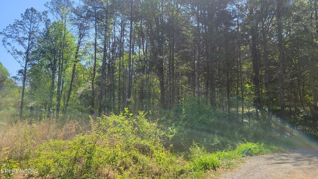 144 Wale Dr, Parrottsville, TN 37843