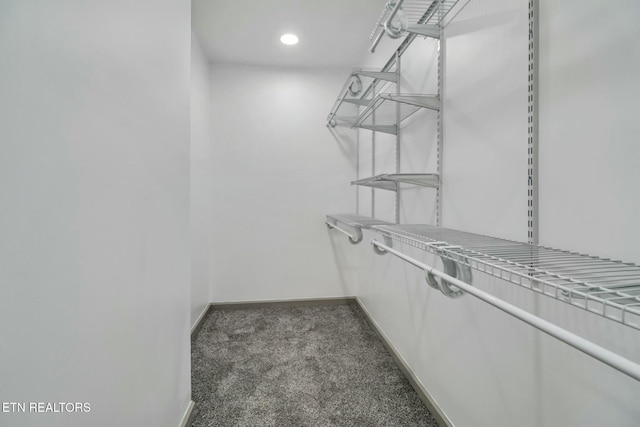 spacious closet with carpet flooring