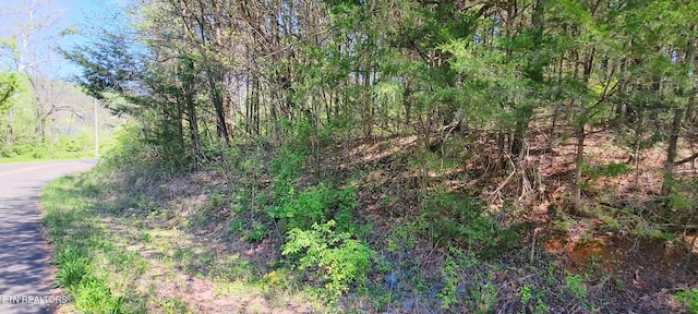 110 W Dr, Parrottsville, TN 37843