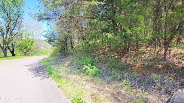 110 W Dr, Parrottsville, TN 37843