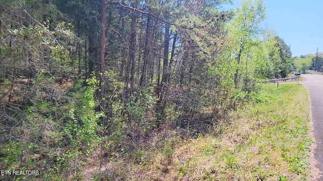 110 W Dr, Parrottsville, TN 37843