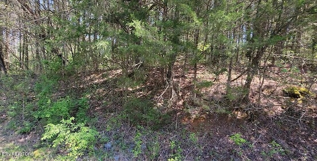 110 W Dr, Parrottsville, TN 37843