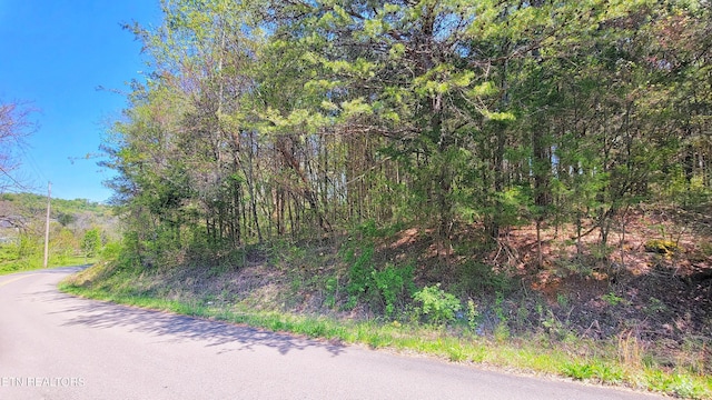 110 W Dr, Parrottsville, TN 37843
