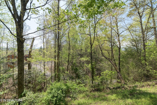 view of landscape featuring a wooded view