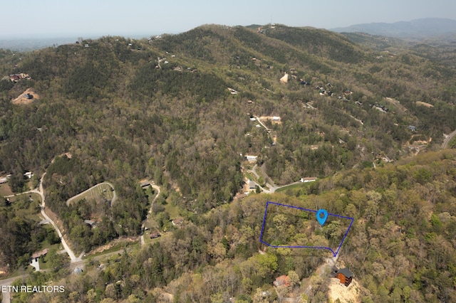 exterior space with a mountain view and a view of trees