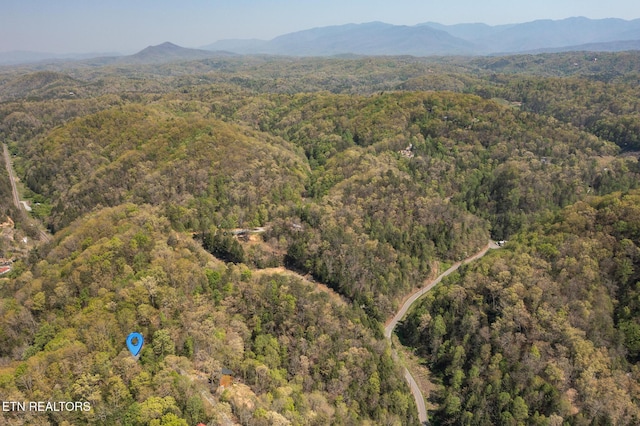 bird's eye view featuring a forest view and a mountain view