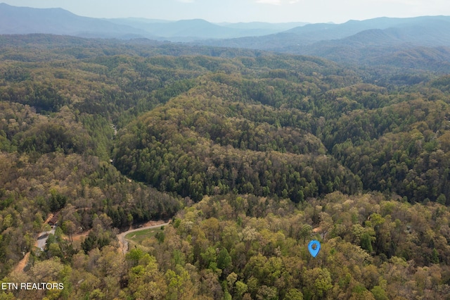 birds eye view of property featuring a view of trees and a mountain view