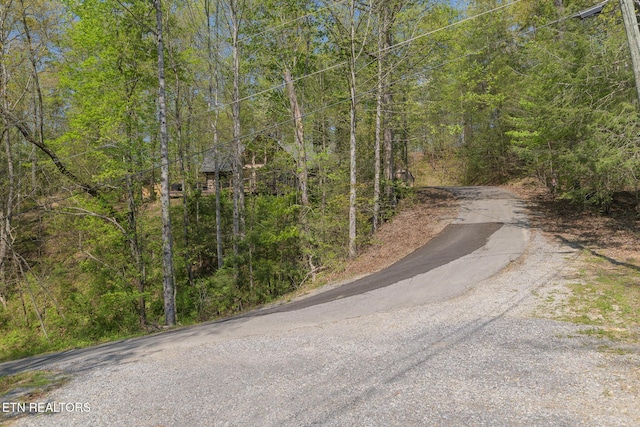 view of road featuring a view of trees