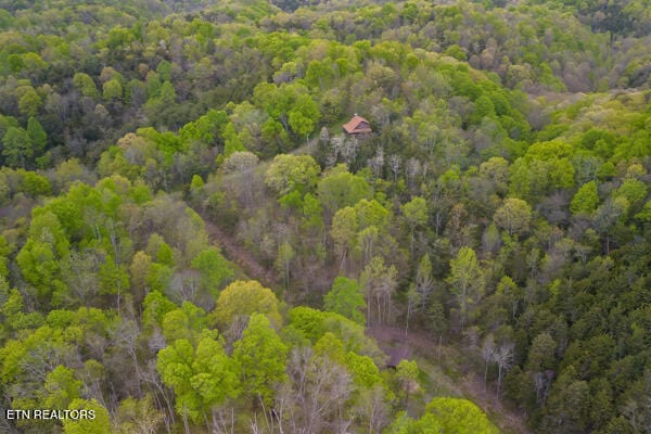 aerial view featuring a view of trees