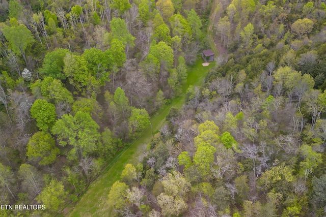 bird's eye view
