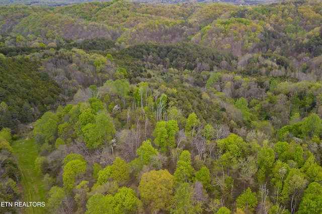 bird's eye view with a forest view