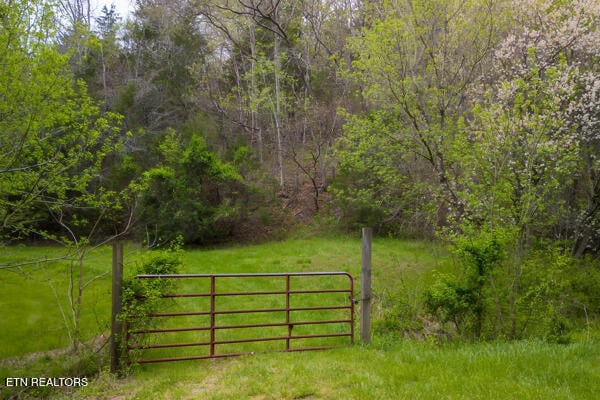 view of gate featuring a lawn and a wooded view