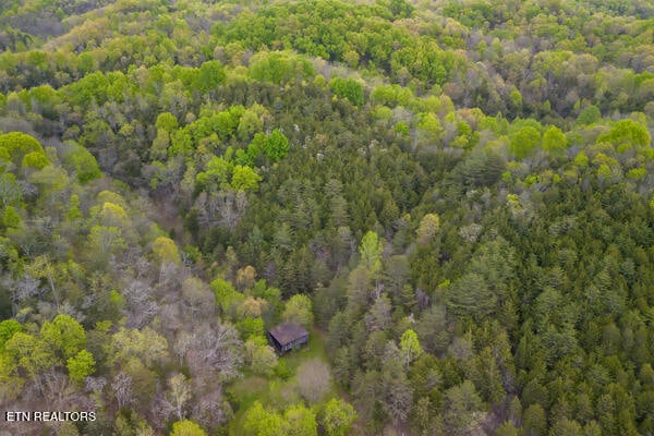 aerial view with a forest view
