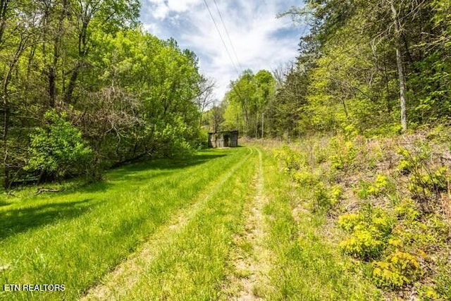 view of yard with a forest view