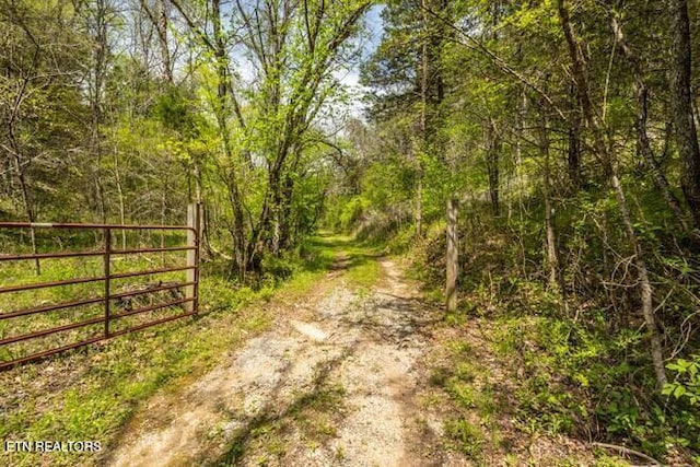 view of street featuring a view of trees and a gate
