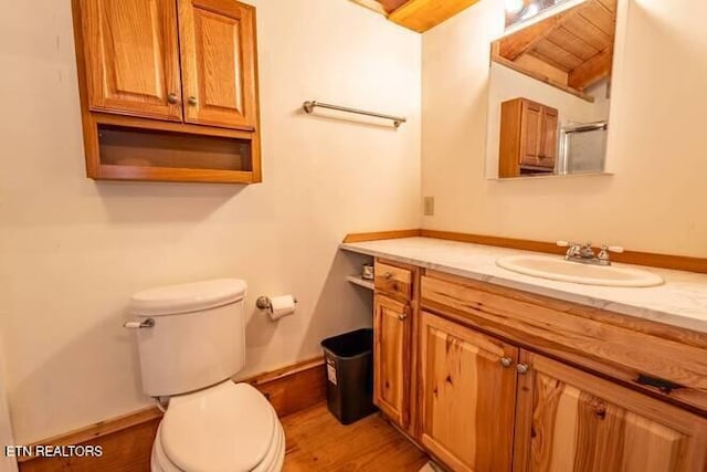 bathroom featuring toilet, vanity, and wood finished floors