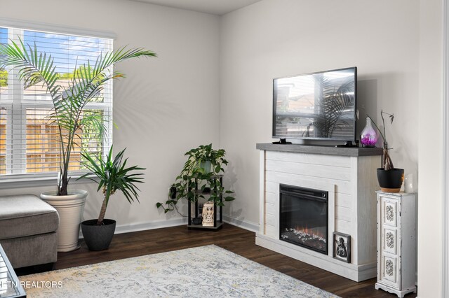 1423 Ridge Estates Dr, Athens, TN 37303 - living room featuring wood finished floors, a glass covered fireplace, and baseboards