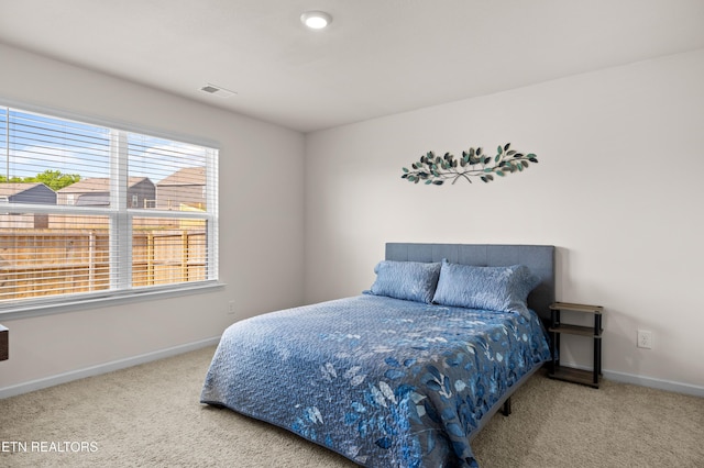 1423 Ridge Estates Dr, Athens, TN 37303 - bedroom with carpet flooring and baseboards