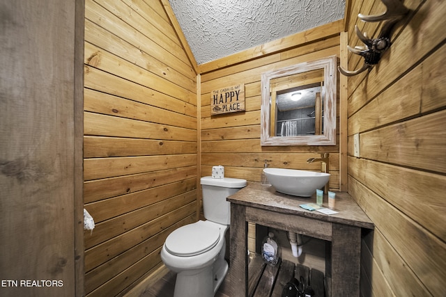901 Sunrise Blvd, Sevierville, TN 37862 - bathroom featuring lofted ceiling, toilet, wooden walls, a textured ceiling, and a sink