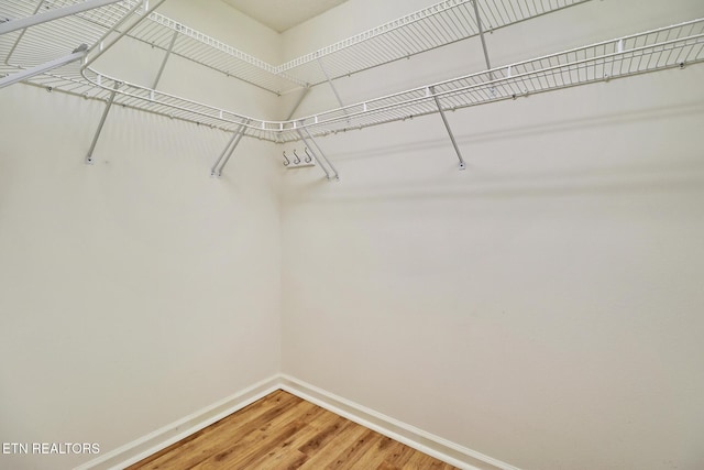11 Windsor Pt, Crossville, TN 38558 - spacious closet featuring light wood-style floors