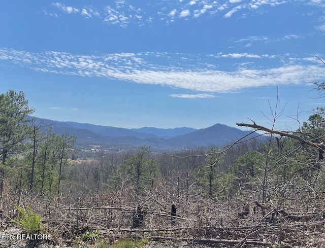LOT28 Whipoorwill Hill Way, Sevierville, TN 37862 - photo 1