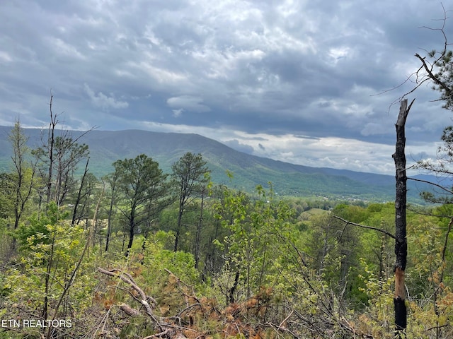 LOT28 Whipoorwill Hill Way, Sevierville, TN 37862 - photo 2