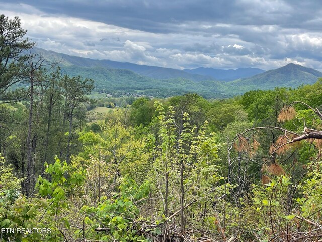 LOT28 Whipoorwill Hill Way, Sevierville, TN 37862 - photo 3