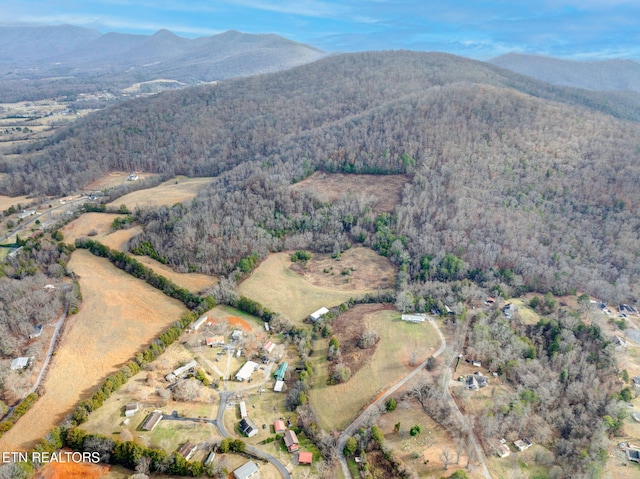 Old Newport Hwy, Sevierville, TN 37876 - photo 9