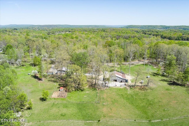 1563 Boyd Creek Rd, Sparta, TN 38583 - photo 59
