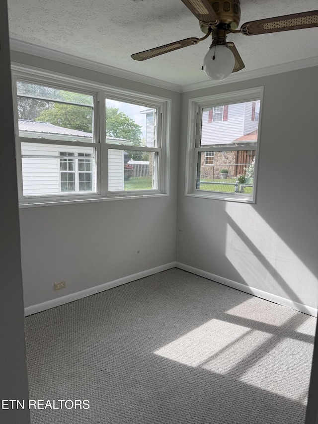 119 Newberry Cir, Oak Ridge, TN 37830 - photo 9