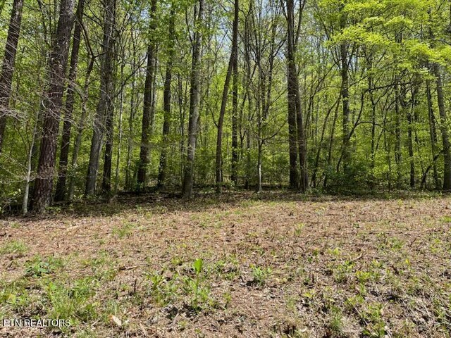 Cabin Rd, Speedwell, TN 37870