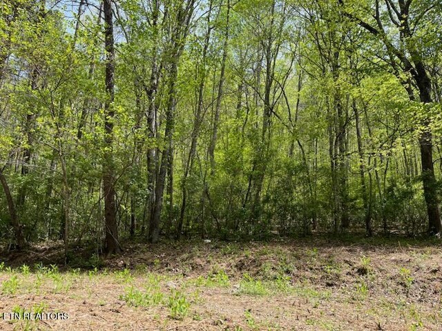 Cabin Rd, Speedwell, TN 37870