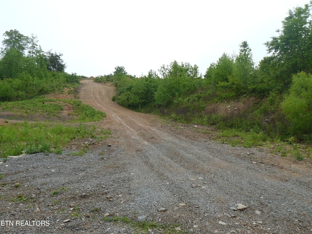 132ACRES Leabow Hollow Rd, Tazewell, TN 37879 - photo 16