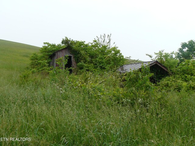 132ACRES Leabow Hollow Rd, Tazewell, TN 37879 - photo 17