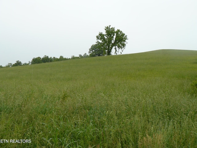 132ACRES Leabow Hollow Rd, Tazewell, TN 37879 - photo 18