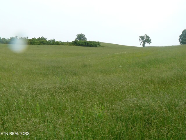 132ACRES Leabow Hollow Rd, Tazewell, TN 37879 - photo 20